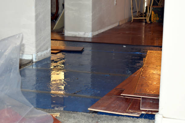 Professional Water Damage technician working in Lake George, CO