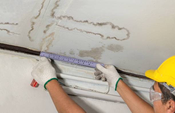 Reliable Water Damage contractor in Lake George, CO by Water Damage Irwin